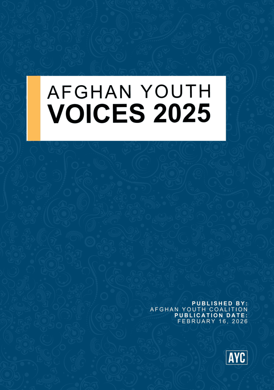Afghan Youth Voices 2025 report cover
